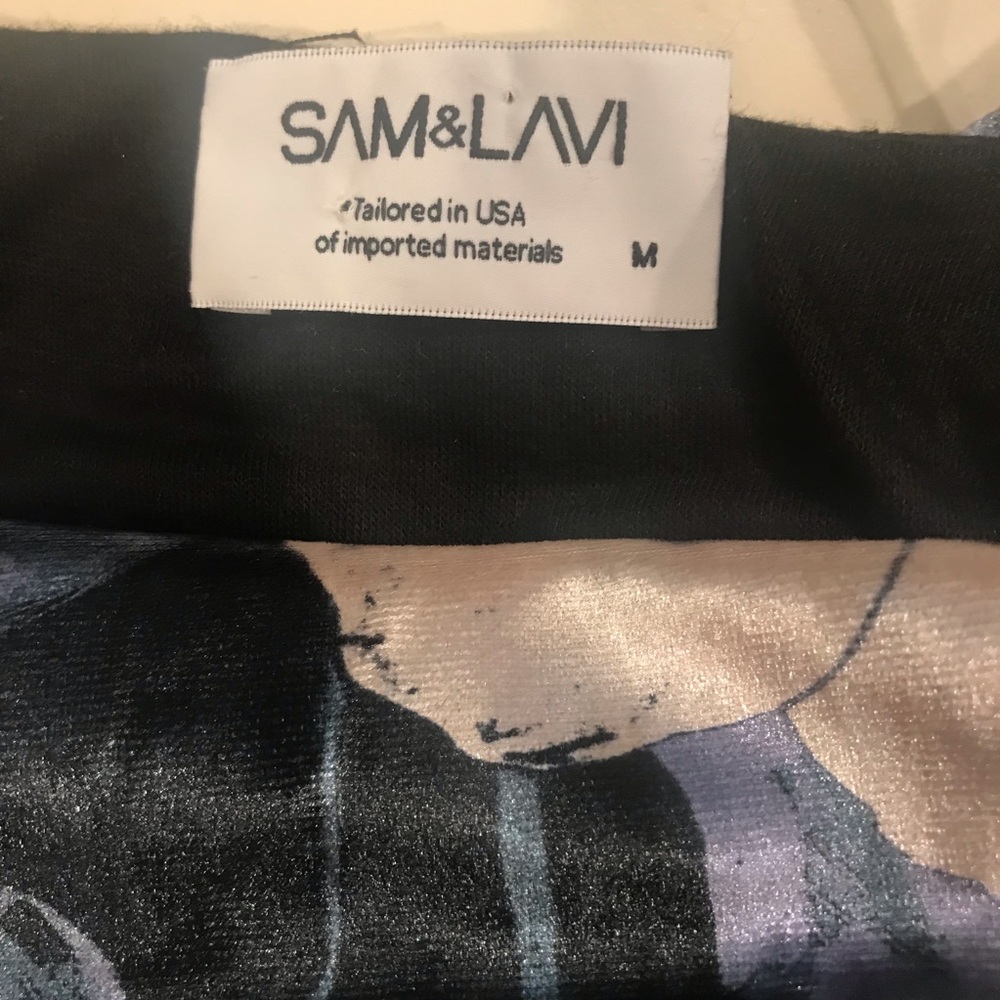 Sam & Lavi Velvet Dress - Picture 6 of 8
